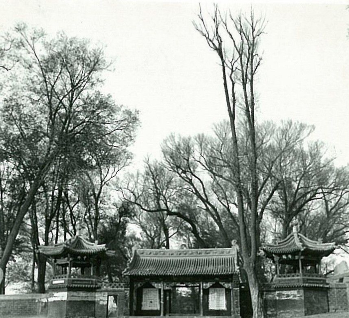 龙泉寺全貌：古树掩映中的正殿建筑群