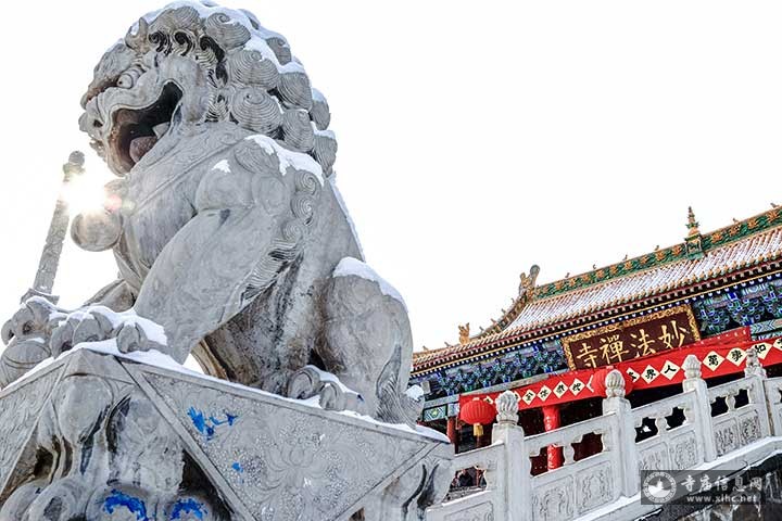 妙法禅寺山门