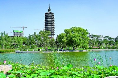 燃灯塔与周边建筑群