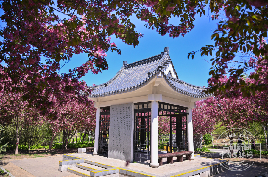 长春德苑公园内的亭台楼阁与景观步道