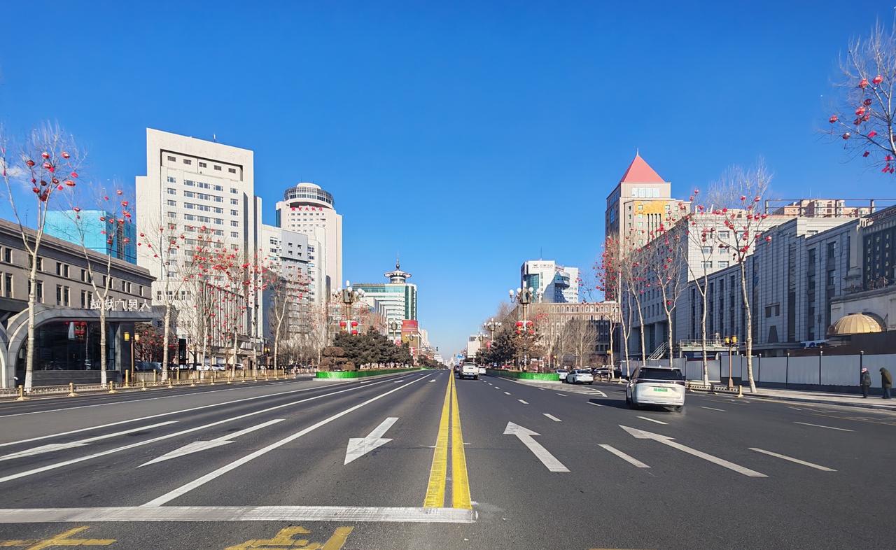 2025年拍摄的人民大街街景,行道树在冬日光线下列植于道路两侧