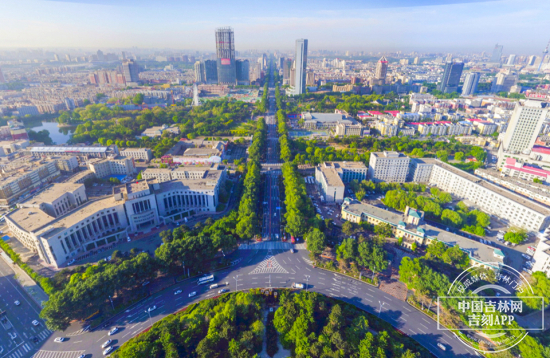 人民大街四排行道树航拍全景,路中隔离带两排、两侧人行道各一排的布局一目了然