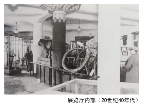 伪满国立中央博物馆展示场内部，可见标本展柜和陈列布局
