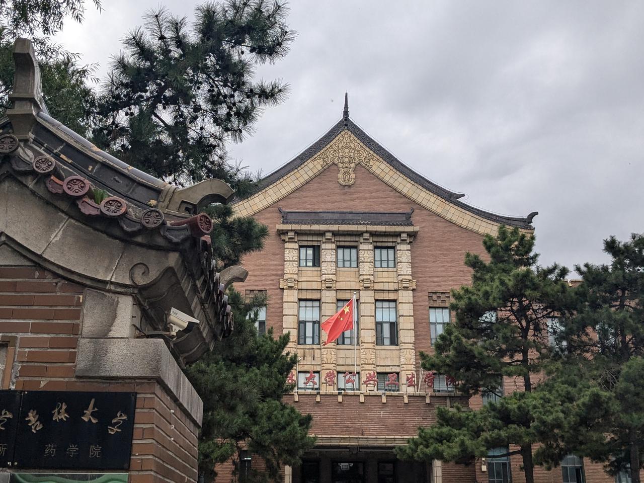 新民大街沿街建筑群鸟瞰，可见两侧建筑排列和街道绿化