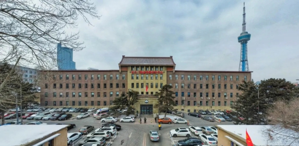 建筑侧立面外观，可见褐色面砖与琉璃瓦屋顶