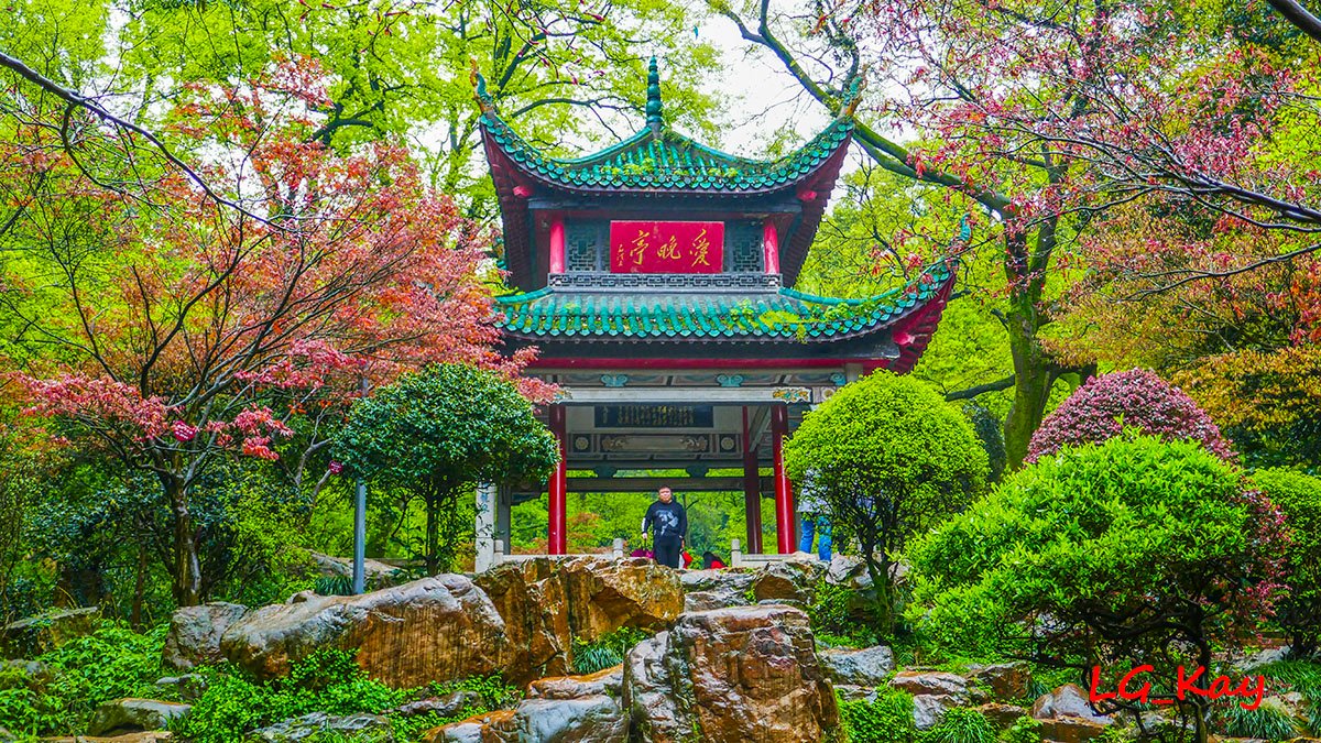 爱晚亭被枫林环绕的秋日景色