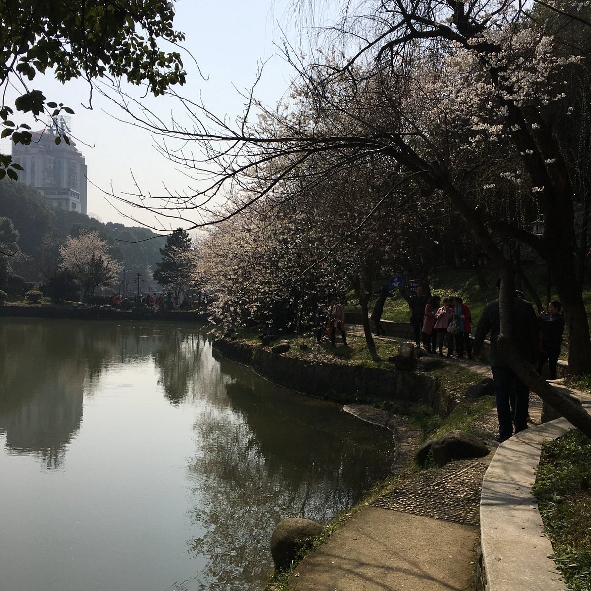王陵公园内的市民日常：游人沿湖赏景