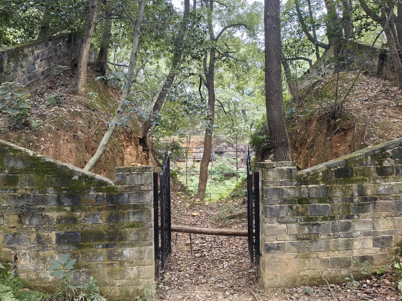 王陵公园中的封土堆,城市住宅楼紧邻其旁