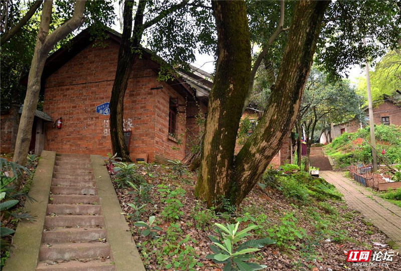 湖南师范大学校园早期建筑