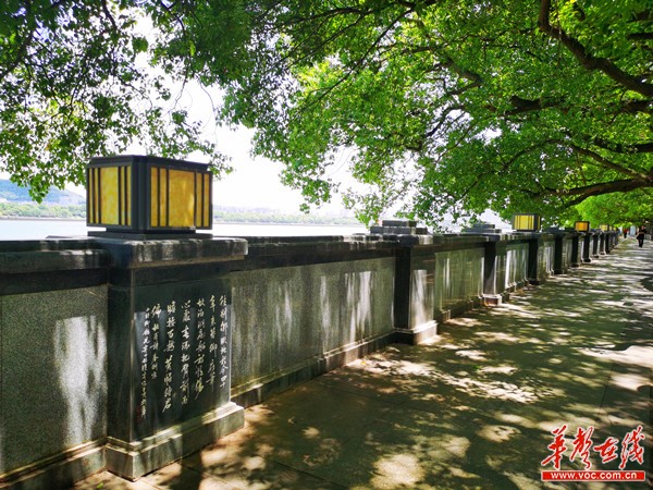 长沙市湘江东岸防洪综合改造后的混凝土防洪墙，墙面可见新旧堤体的交接痕迹