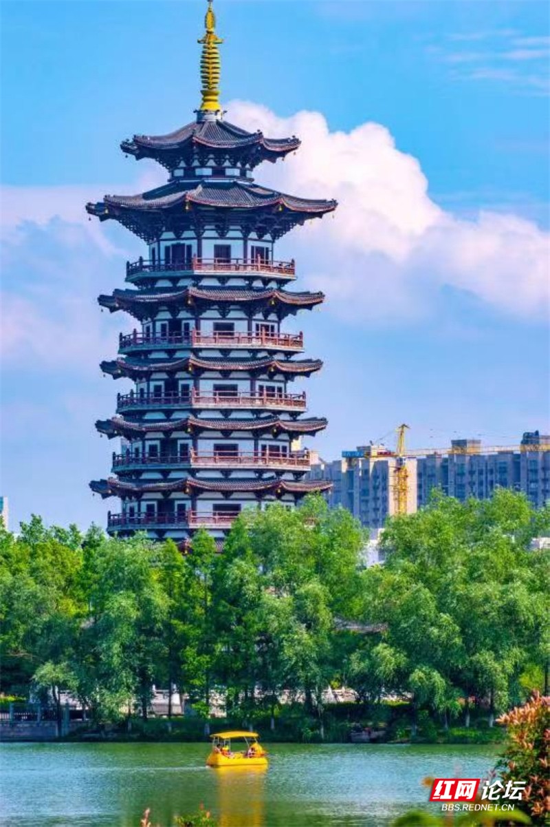洋湖湿地公园白鹭塔秋色