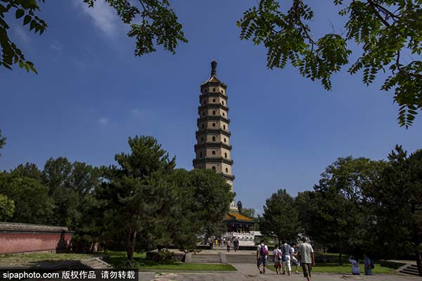 永佑寺舍利塔与塔前石碑远景
