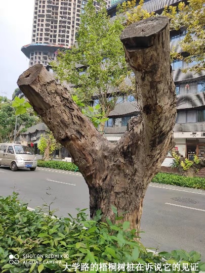 川话英语墙上的砖刻细节