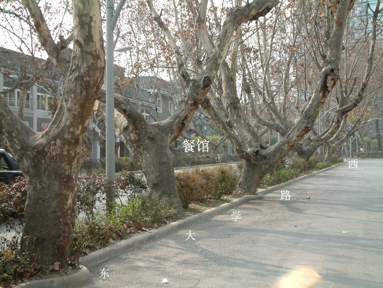 大学路地面"时空之河"展陈