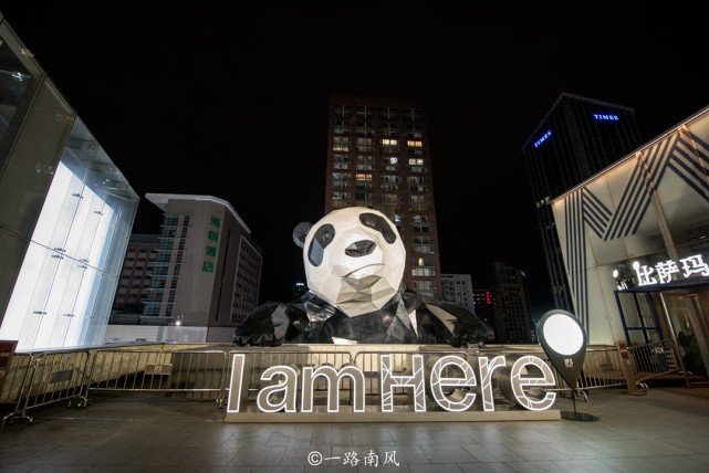 天台看熊猫正面