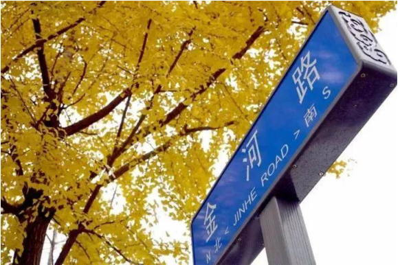 金河路路牌，提示脚下曾有一条河