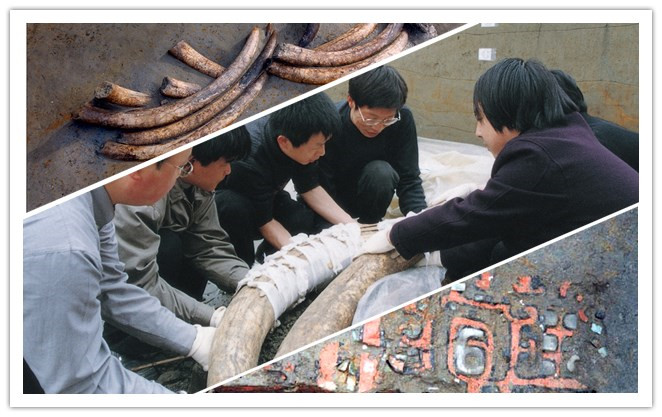 金面具是目前国内发现的同时期形体最大的金面具