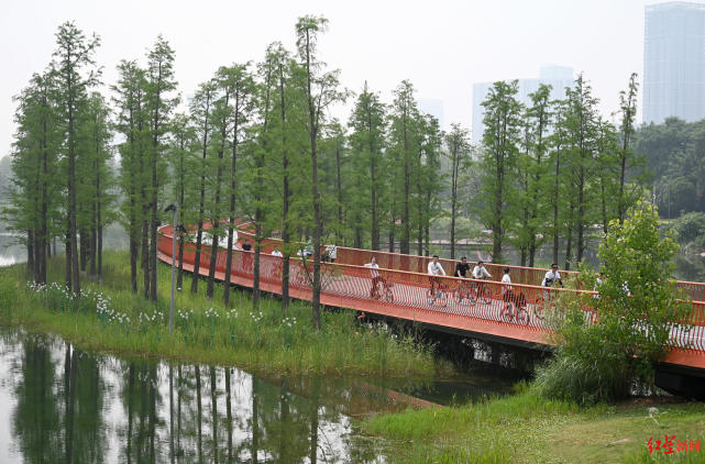锦城湖段绿道：红色沥青路面沿湖延伸，远处可见绕城高速