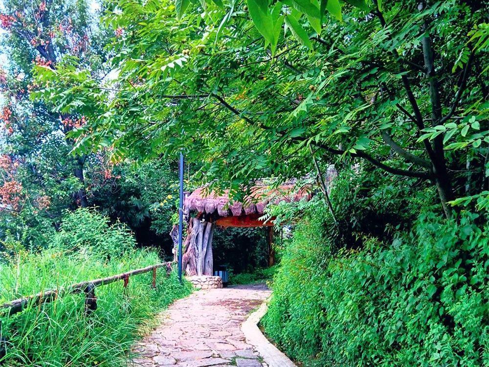 凤阳邑古道两侧沿路伸展的民居，房屋排列在石板路两旁