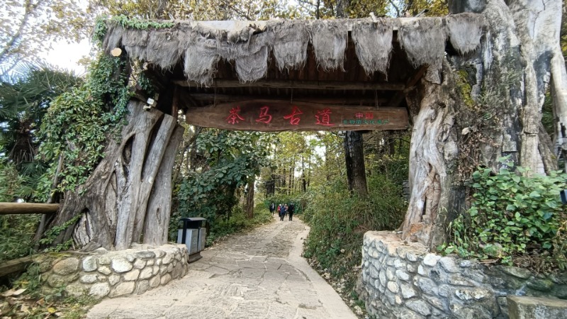 A rustic wooden archway with Chinese characters hangs over a stone-paved, tree-lined path, evoking a