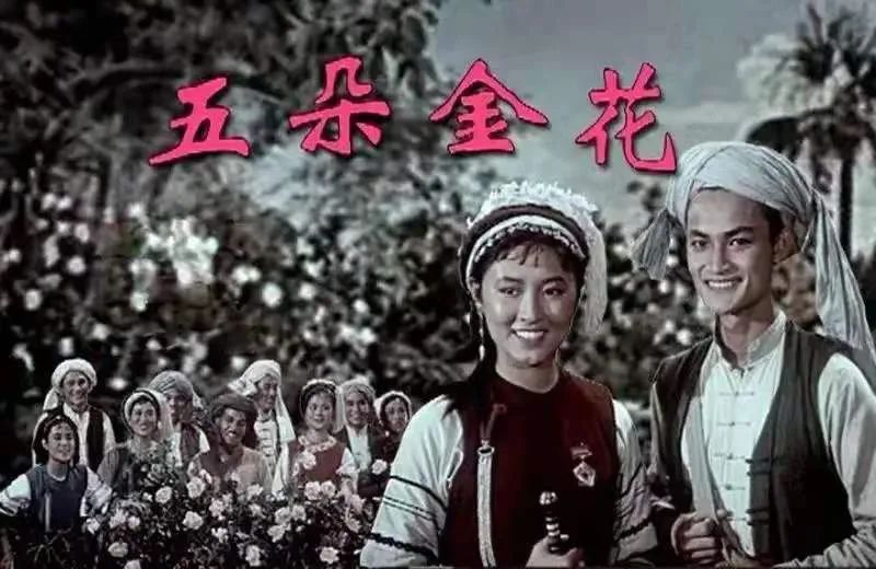 《五朵金花》展区:博物馆专门陈列该片剧照、海报和拍摄道具,是理解大理旅游形象如何被电影制造的核心展区