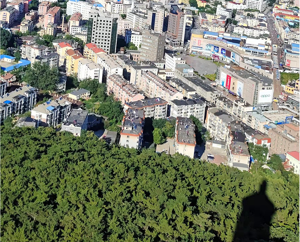 从白玉山塔俯瞰旅顺军港全景