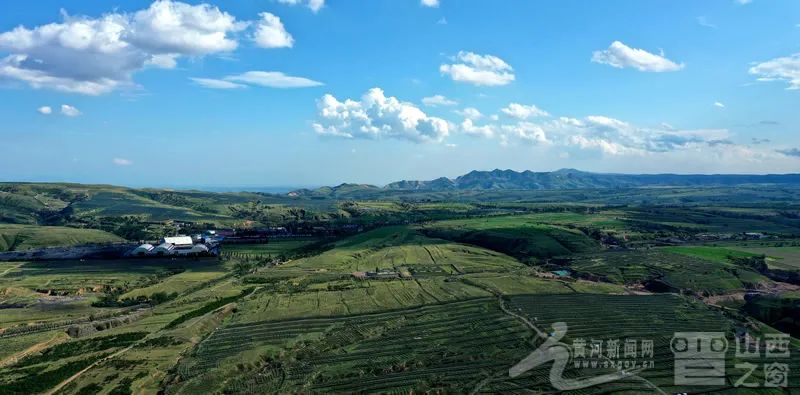 矸石山梯级平台与植被覆盖