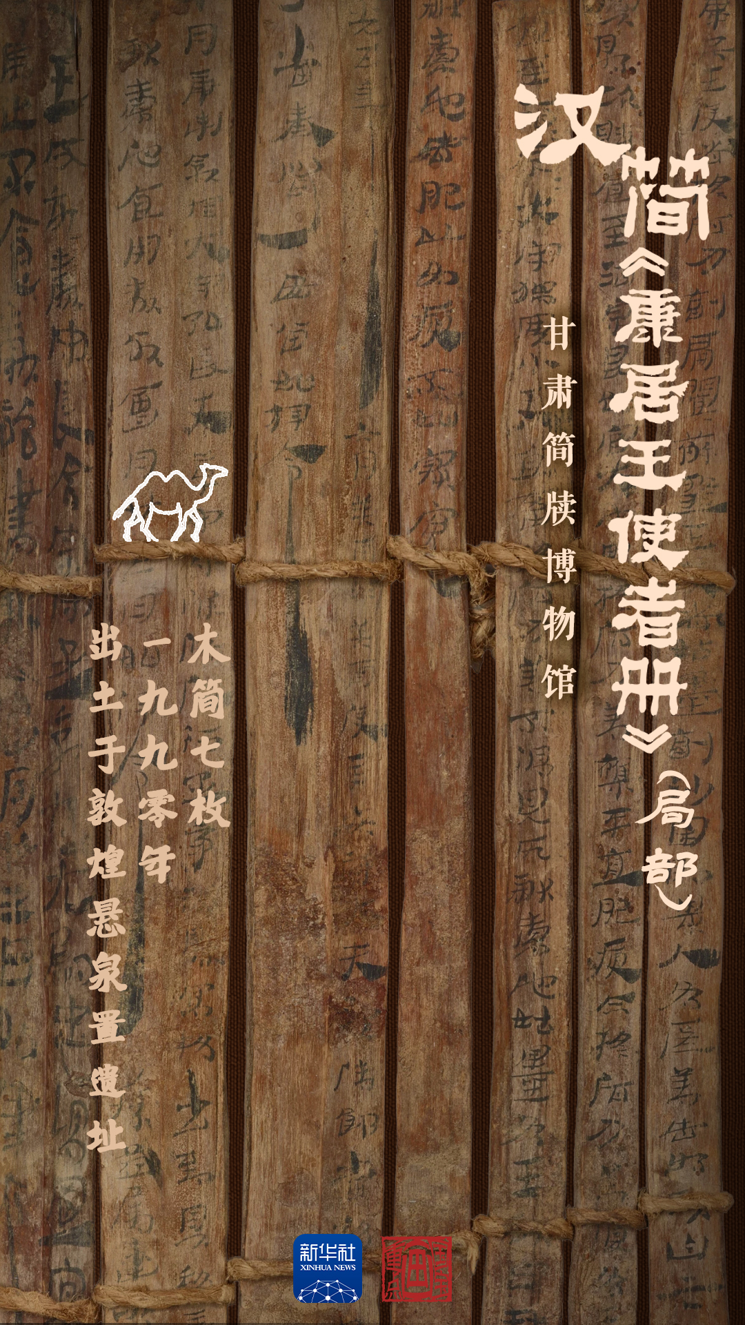 悬泉置出土汉简《康居王使者册》实物
