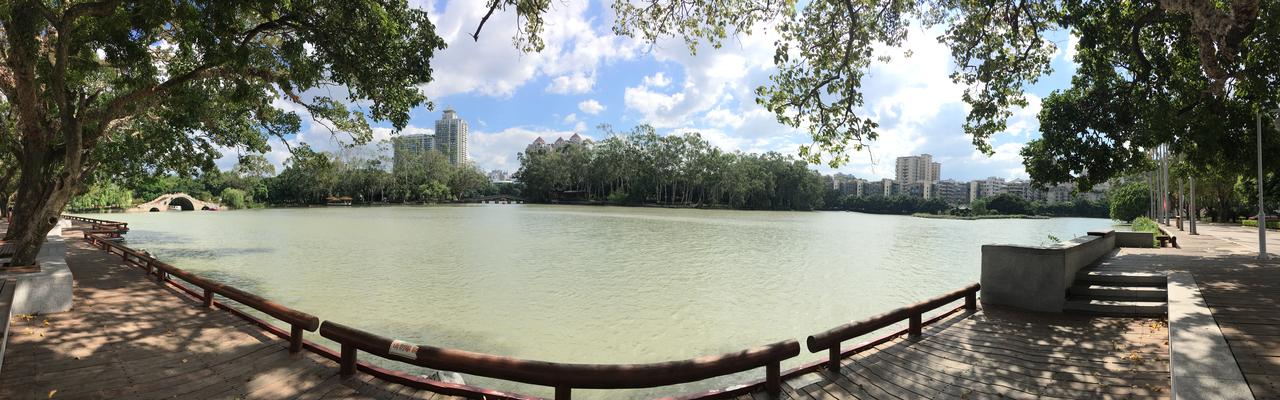 站在柳堤看西湖全景