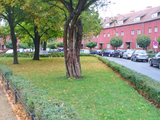 Hufeisensiedlung 中央庭院与住宅的社区空间