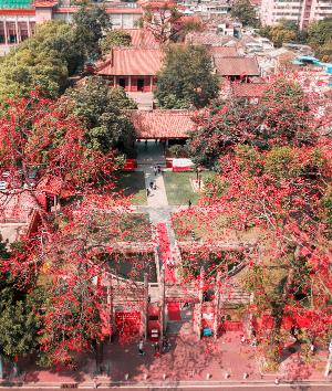 The Guangzhou Farmers' Movement Lecture Hall is surrounded by blooming red-flowered trees, with traditional red-roofed b