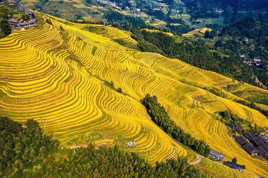 壮族生态博物馆展示中心