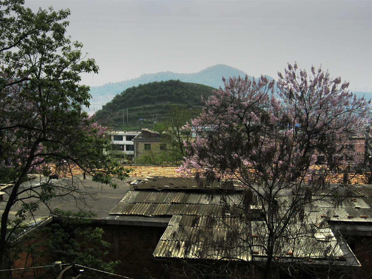 上海路附近的红砖住宅楼（原第三砂轮厂宿舍）