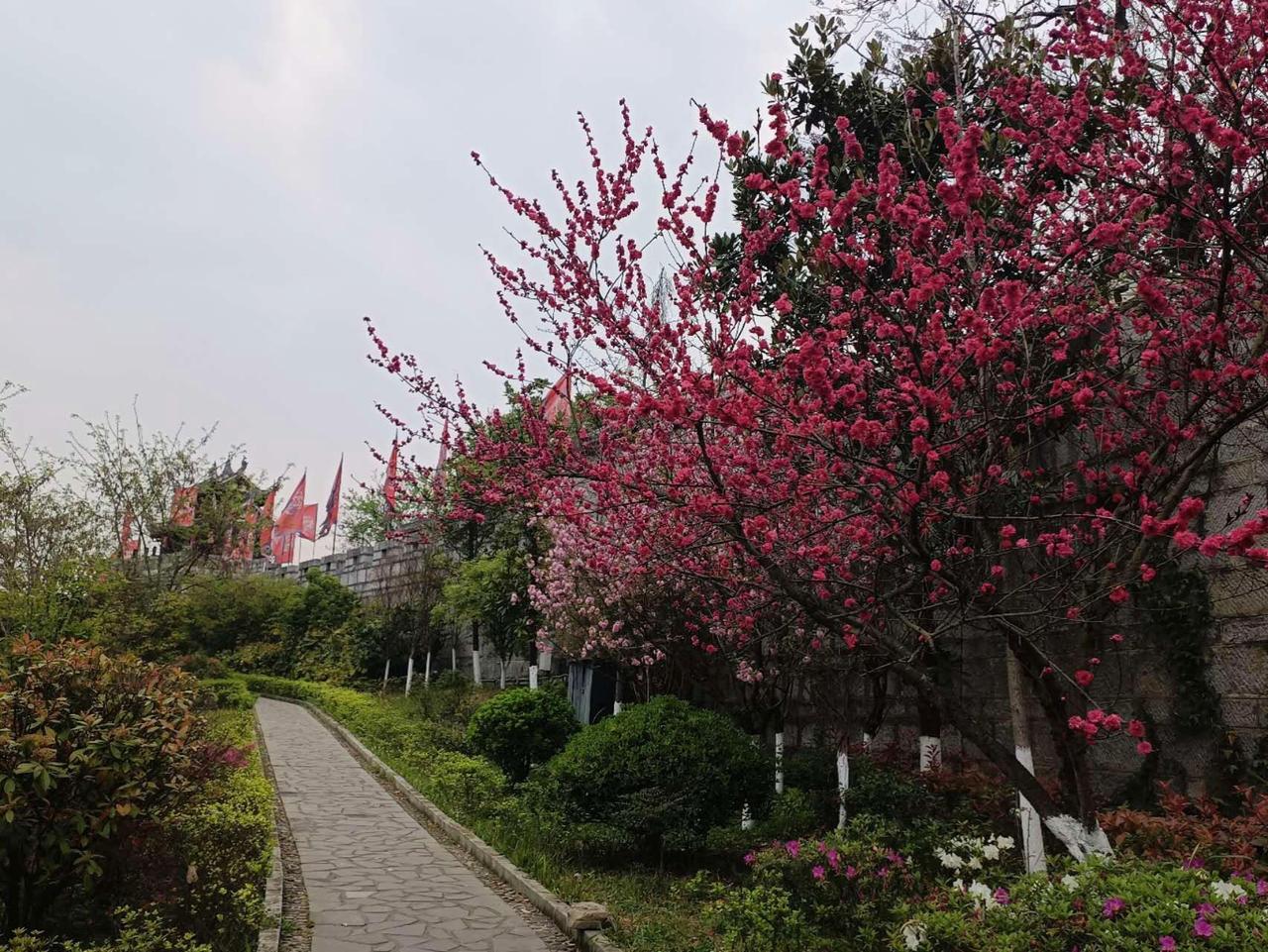 青岩古镇的青石板主街，两侧商铺密集