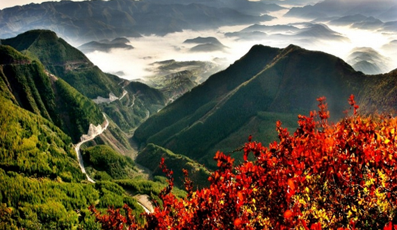 六盘山森林景观