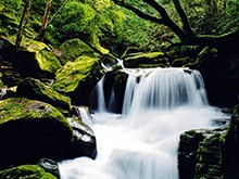 六盘山小南川溪流
