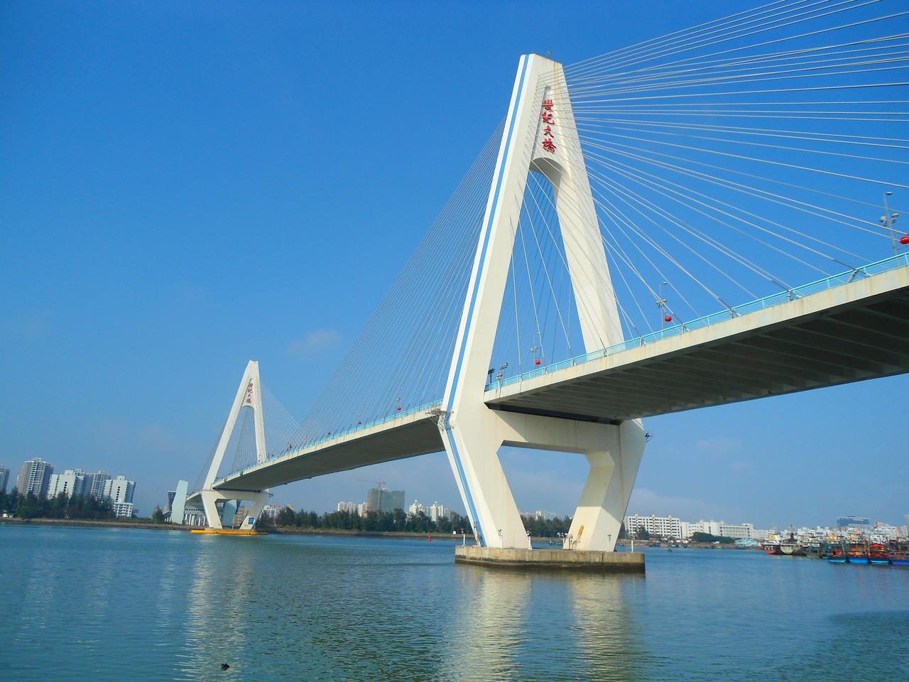 世纪大桥从西南岸远眺：钻石形双塔与城市天际线