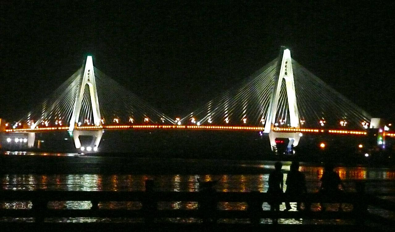 世纪大桥夜景：灯光下的桥塔和海面倒影