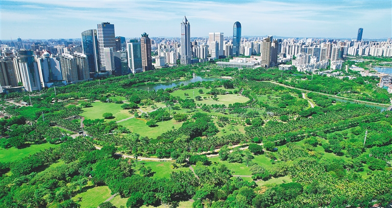 万绿园草坪与城市天际线
