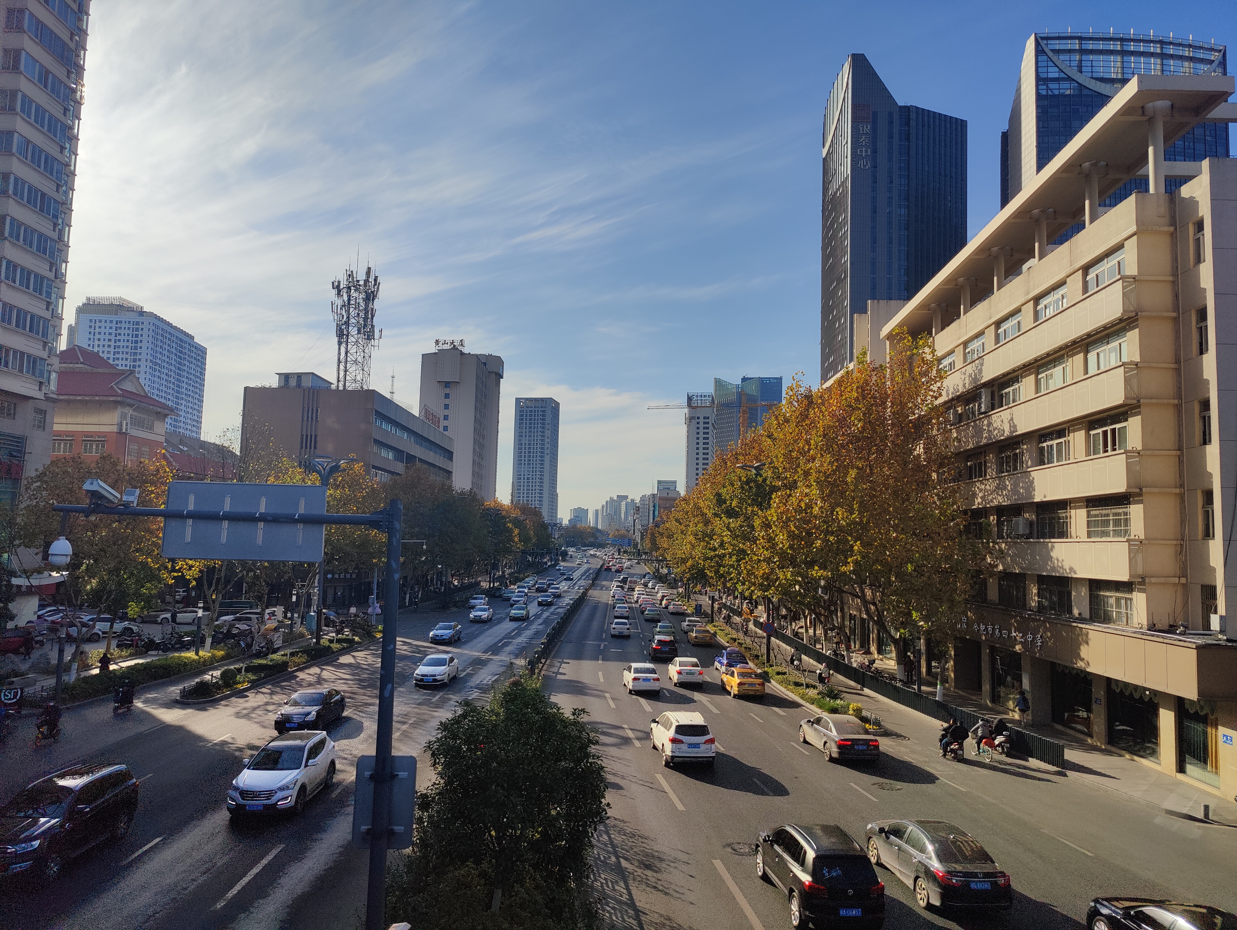 长江中路街景：宽阔路面、行道树和沿街老办公楼形成的连续界面
