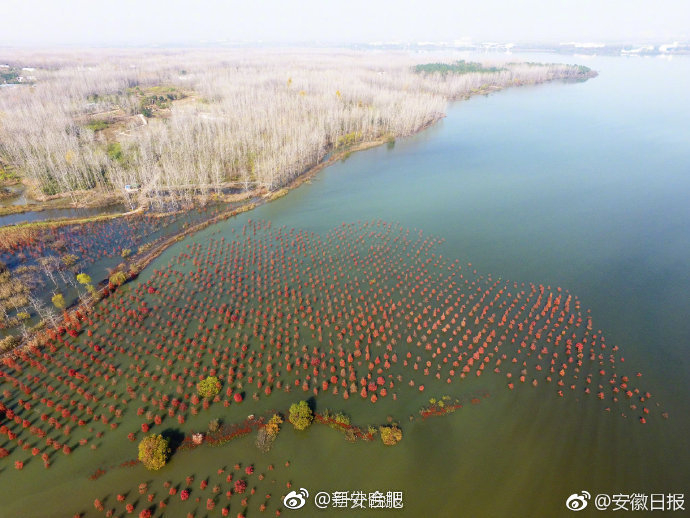 董铺水库水面与岸线实景