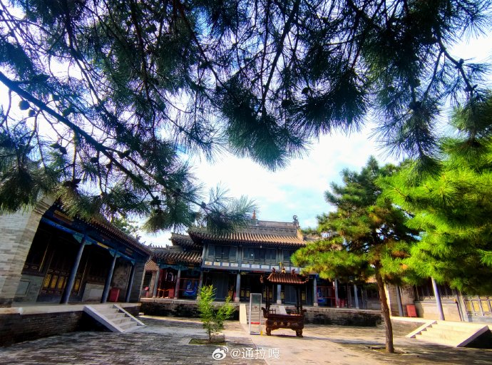 庆缘寺大殿庭院与古树