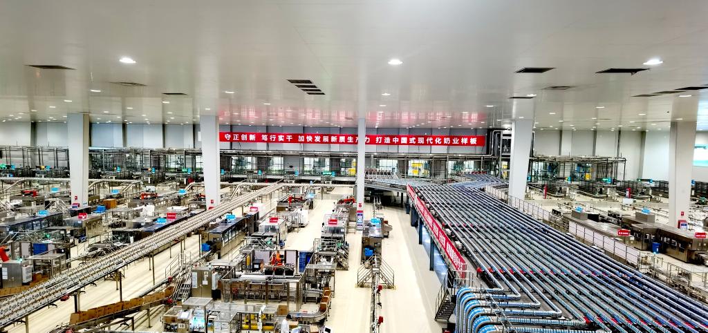 A large, modern dairy production facility with conveyor belts and machinery, fea