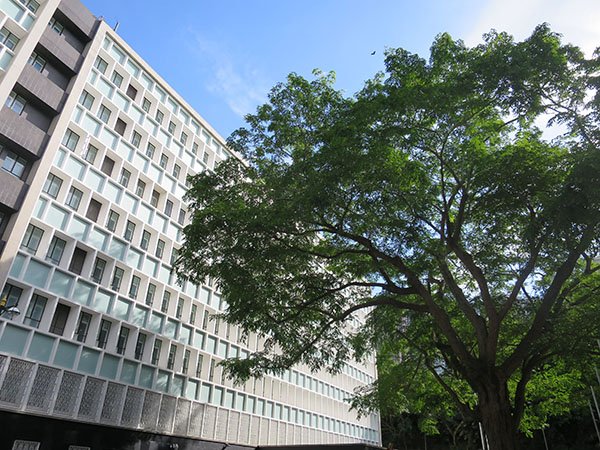 發展局- 前中區政府合署建築群(696)
