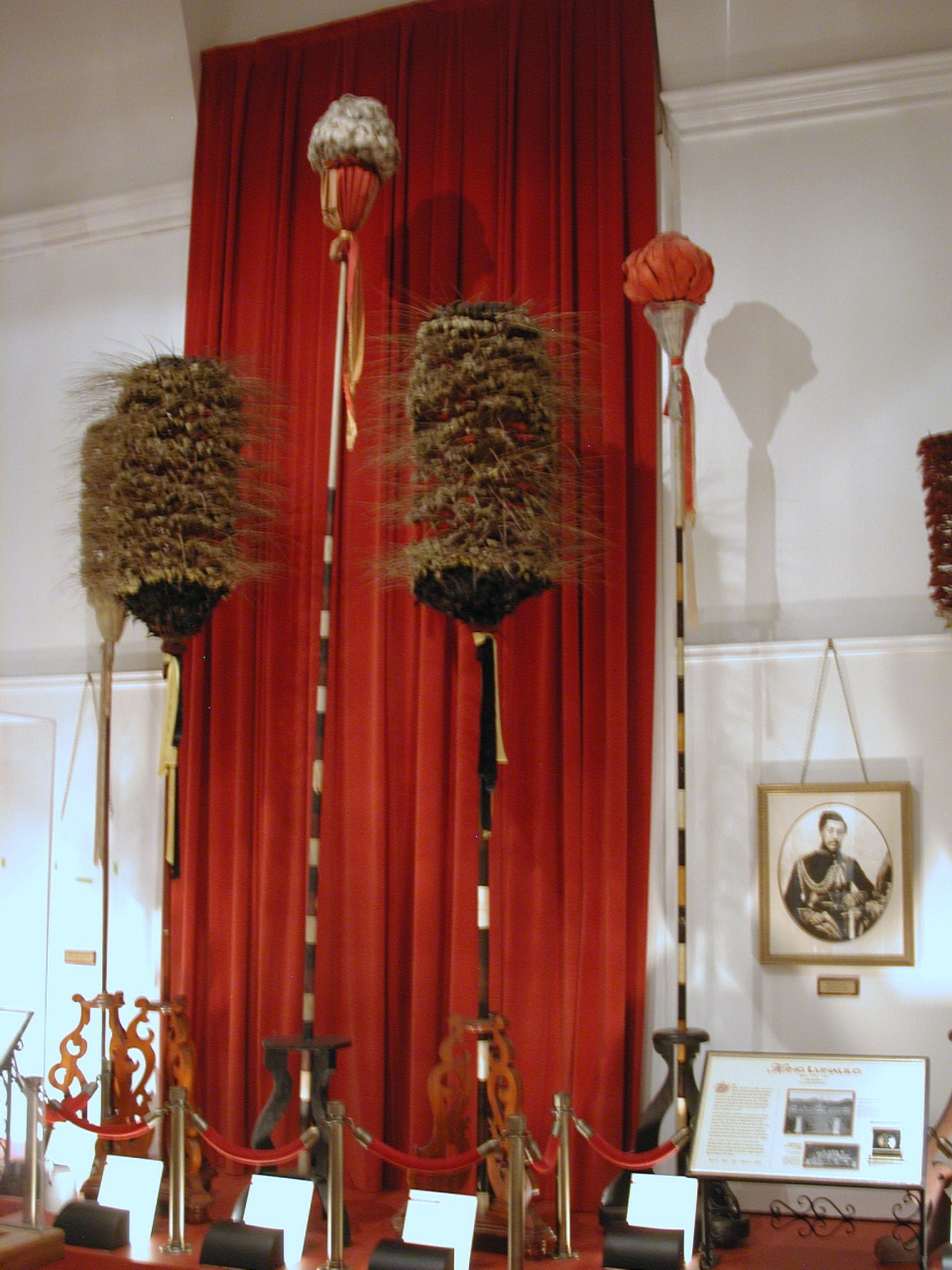 黑色 feather standard ʻEleʻeleualani 单件展陈