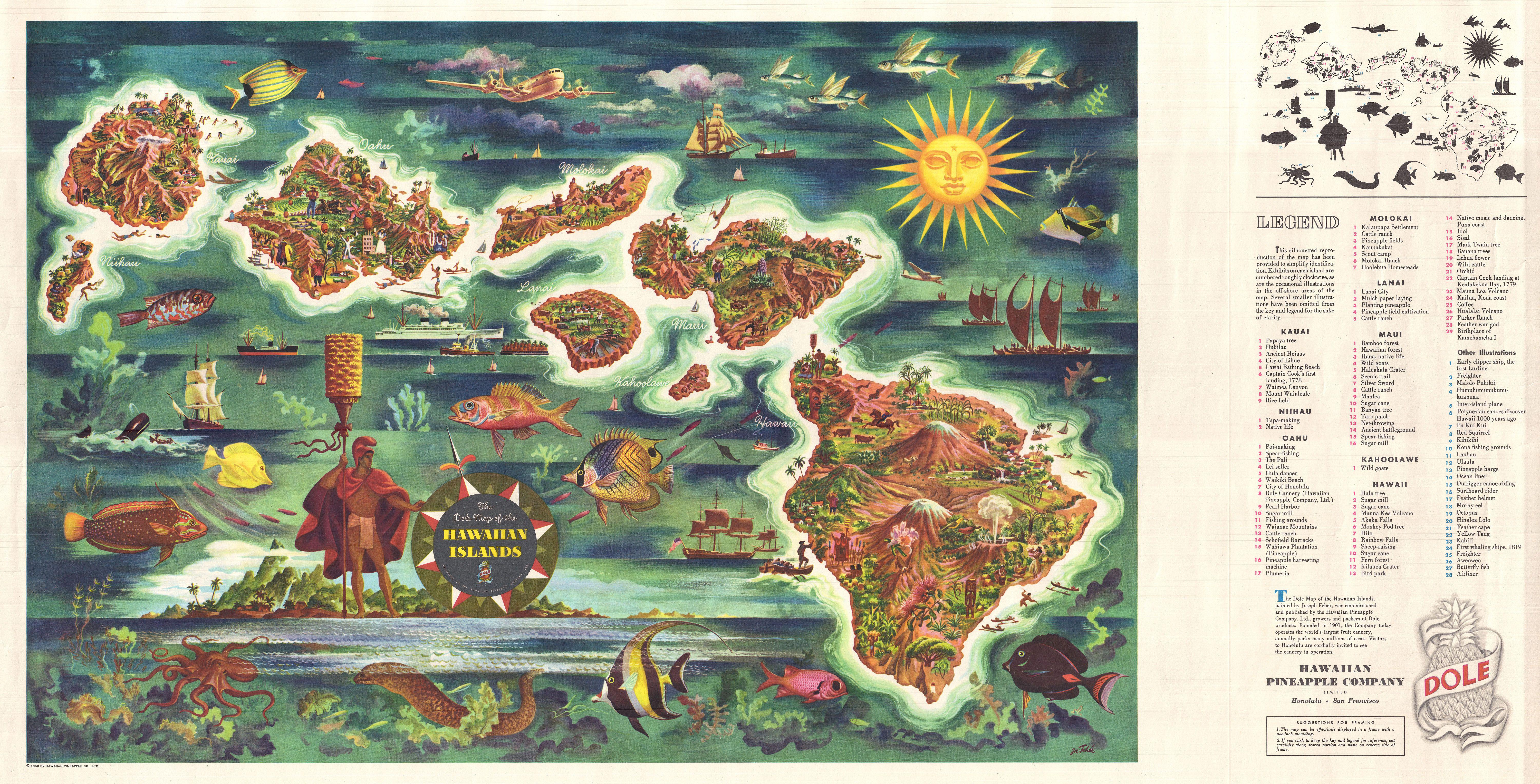 1950 年 Joseph Feher 绘制的 Dole 夏威夷地图，菠萝被放大到与岛屿等大