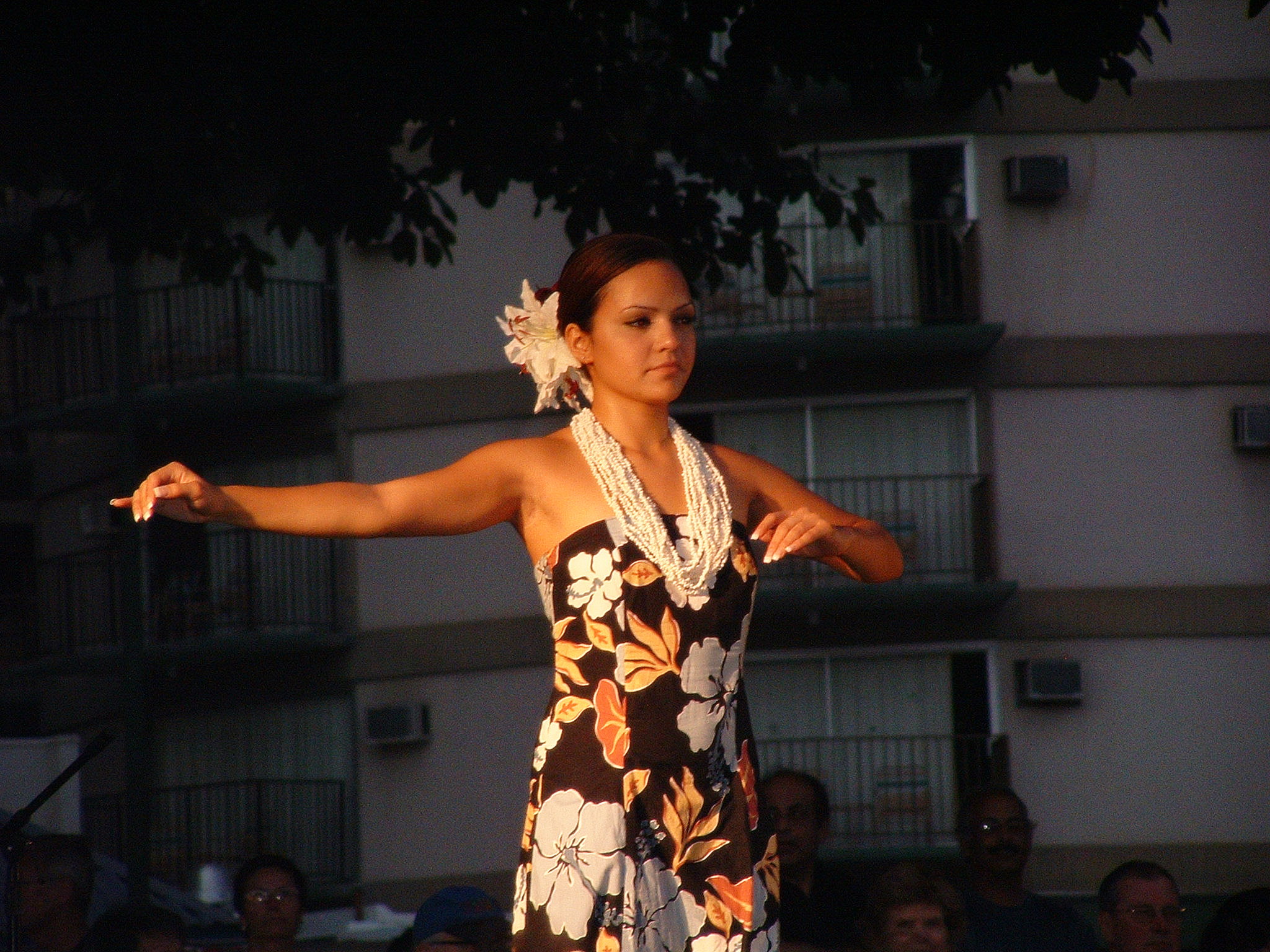 Kūhiō Beach 公园的 hula 表演，展示演出在公共草地上的现场形态