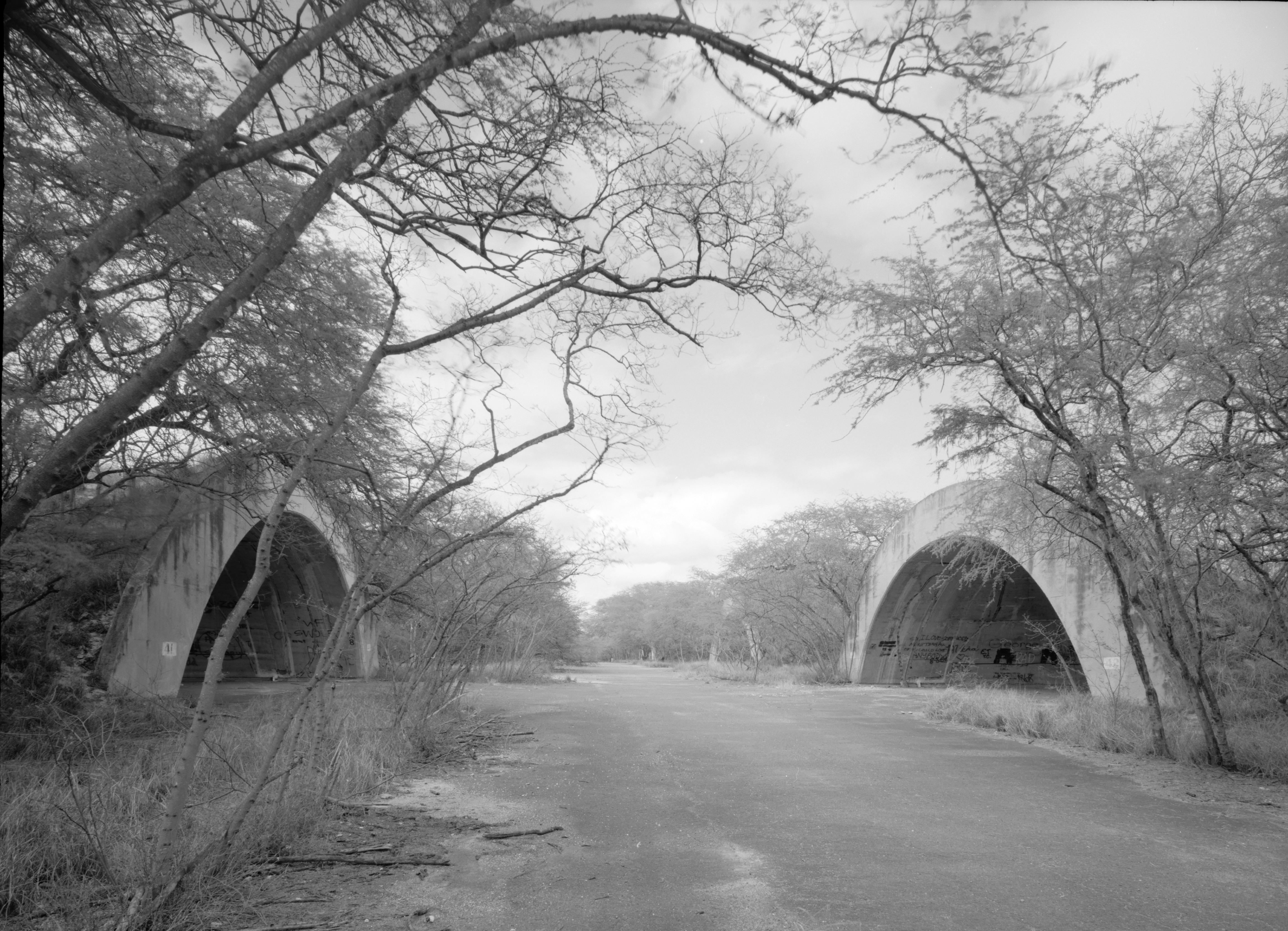 Aircraft shelters at MCAS Ewa, showing half-dome concrete revetments
