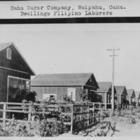 Archival photograph of Oahu Sugar Company Filipino laborer dwellings from the 1926 UH Manoa collection