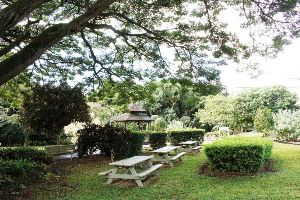 花园内部种植床和步道